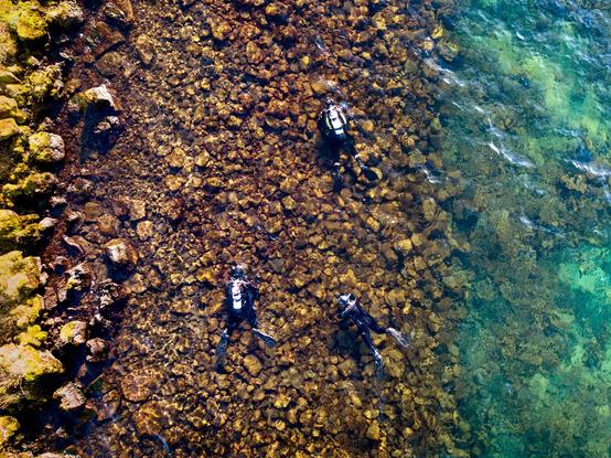 Divers on spawning grounds of Arctic charr in Lake Thingvallavatn, viewed from above