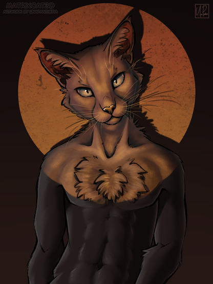 A black cat sits in a spotlight that illuminates him from the shoulders up.