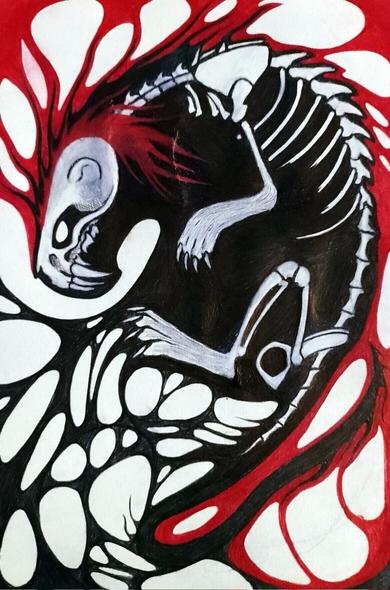 Ballpoint pen drawing of a skeletal ferret creature with a mohawk and fuzzy paws, ears and tail on a red and black abstract background