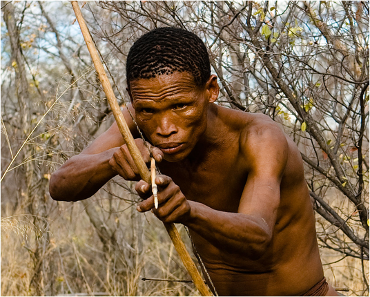 A San hunter aims a bow and poison tipped arrow with very focused concentration shown in his furrowed brow
