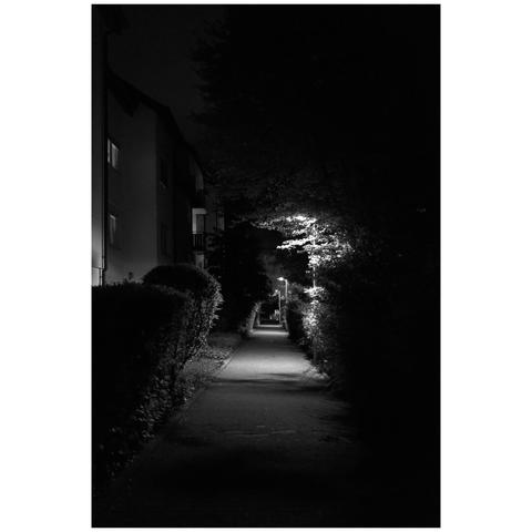 Black and white photo of a walkway at night. A few lamp posts light the scenery. The first one is behind a tree.