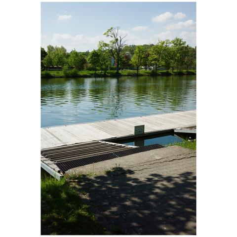 A small pier in the foreground, behind it the Danube river and on the other side a row of trees with one outstanding tree due to its higher size.