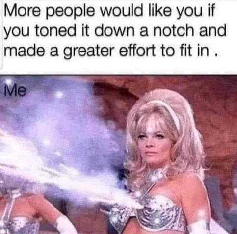 More people would like you if you toned it down a notch and made a greater effort to fit in.

Me: A fembot shooting sparks from her breasts.