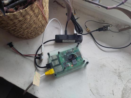 A raspberry pi placed on a windowsill in a transparent case with three described boards connected to it via a USB hub.