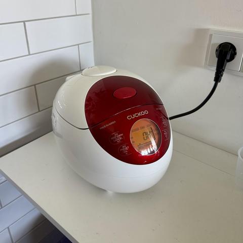The new rice cooker, shaped like an egg with a menu area in red.