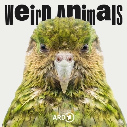 Das Bild der Folge 6 des Podcasts "Weird Animals" zeigt einen Kakapo - ein kleiner grüner Eulenpapagei.