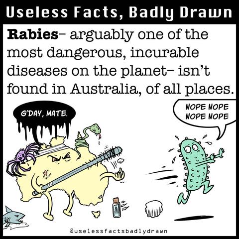 Rabies- arguably one of the most dangerous, incurable diseases on the planet- isn't found in Australia, of all places.