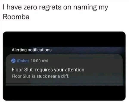 "I have zero regrets on naming my Roomba."

"Alerting notifications

Floor Slut requires your attention

Floor Slut is stuck near a cliff."