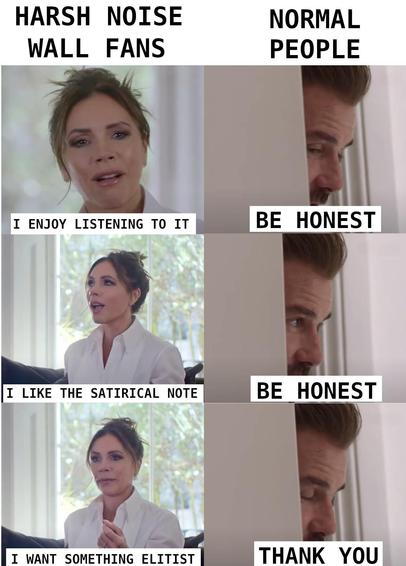 meme showing a woman (on the left side) and a man (on the right side) having a dialogue. The text explains that the woman is representing "Harsh Noise Wall Fans" while the man is representing "Normal People" Woman: "I enjoy listening to it" Man: "Be honest" Woman: "I like the satirical note" Man: "Be honest" Woman: "I want something elitist"