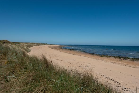 Colour photograph of a pale coloured sandy beach curving round away from the viewer. To the left of the scene are sand dunes covered in marram grass, to the right is the sea. Blue sky overhead.