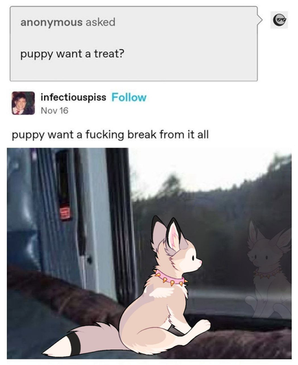 what appears to be a tumblr post, text followed by an image:
text: 
anonymous asked:
"puppy want a treat?"

infectiouspiss:
"puppy want a fucking break from it all"

followed by an image showing a small sand colored canine with a pink, spiked collar sitting, looking out of a window, their reflection showing in the window