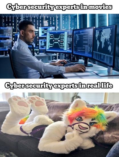 A meme comparing “Cyber security experts in movies” (serious man in high-tech control room) versus “Cyber security experts in real life” (a colorful furry lounging on a couch).