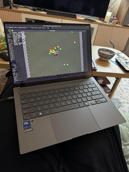 laptop running cachyos