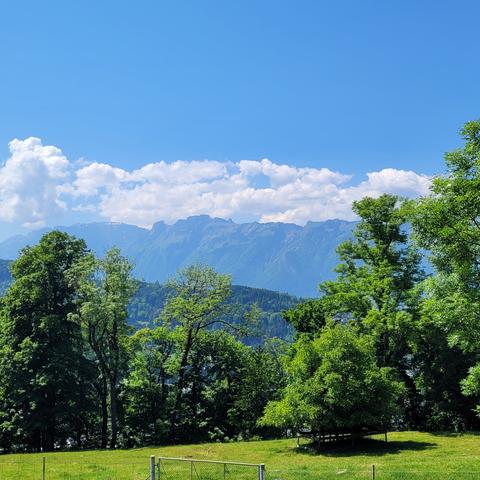 Wiese, Bäume und Blick auf die Berge. Darüber Wolken und blauer Himmel.