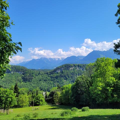 Großes Wiesengehege Wald und Berge