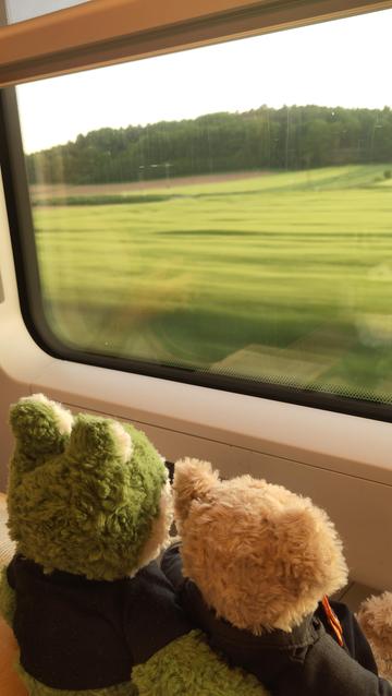 A frog plushie and a bear plushie sitting in front of the window on a train, the landscape outside is blurry and tinted by the sunset