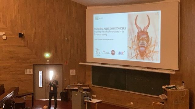 Me presenting my slides on earwig microbiota during the REID conference 2025.