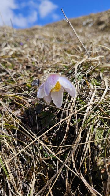 Beschreibung siehe Postinhalt