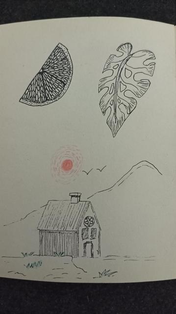Page with multiple artwork. A wedge of orange and monstera leaf. 

Below you see a hut in front of a hill. The sun is red coloured, some grass colored green. Line art of flying birds near the sun.