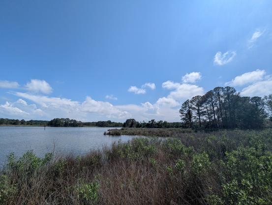 Photo of a clearing afternoon on Harris Creek sky is deep rain washed blue with building white storm cell cumulus off on the horizon. Marsh is wet and green with riotous new growth. Creek water is rippled and reflects the sky and clouds.