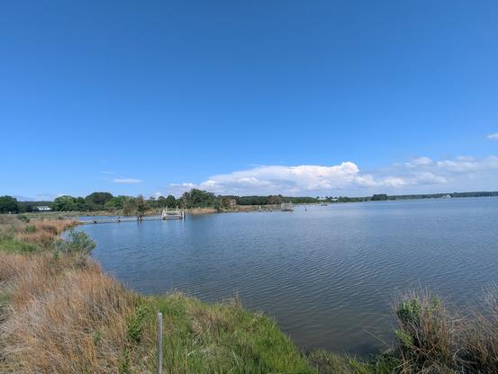 Photo of a clearing afternoon on Harris Creek sky is deep rain washed blue with building white storm cell cumulus off on the horizon. Marsh is wet and green with riotous new growth. Creek water is rippled and reflects the sky and clouds.