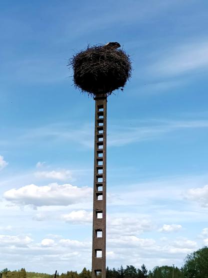 An old stork nest with many years of nest building layered on top of each other. It's atop an old concrete beam with perforated steps in it. The sky is blueish with clouds. The rear end of a white stork sticks out in the nest, its head down in the center of the nest doing something. If you look closely, you can see a small sparrow perching on a stick protruding from the bottom right of the nest. There's probably at least two sparrow nests in the bottom of the stork nest.