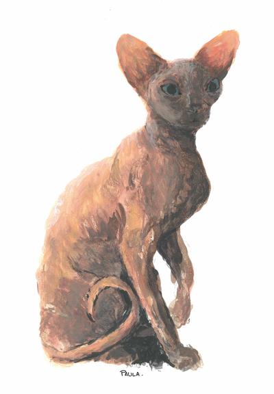 Ilustración de un gato "Sphynx" o egipcio, realizado con óleo y gouache. El fondo es blanco y se aprecia un gato Sphynx sentado con ojos azulados y que tiene la cabeza girada en tres cuartos. Los colores usados no son marrones, naranjas, rosáceos y amarillentos. Está hecho con manchas y pinceladas sueltas.