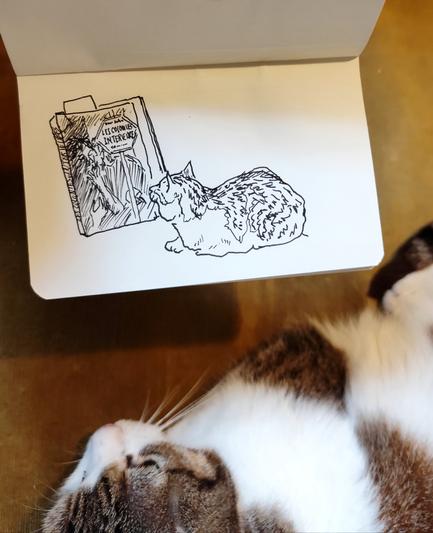 Photo d'un Croquis noir et blanc d'un chat regardant le livre de Denis Lemasson aux éditions Rue de l'échiquier fiction " Les colonies intérieures". Au premier plan de la photo, le chat