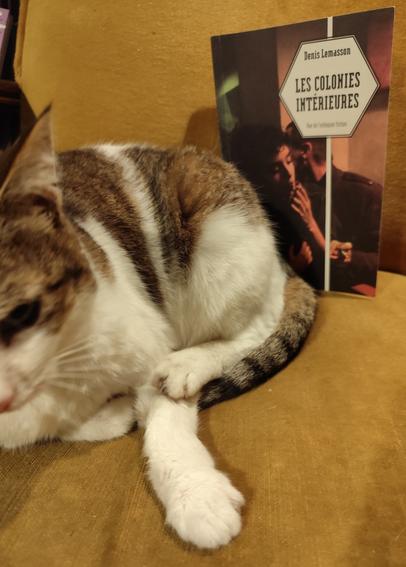 Photo d'un chat sur un fauteuil , devant le livre de Denis Lemasson "Les colonies intérieures"