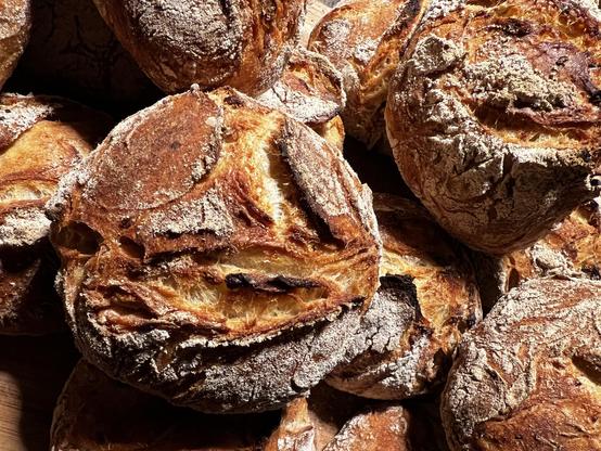 Auf einem dunklen Holztisch liegt ein Holzbrett. Darauf liegen zahlreiche frisch gebackene Brötchen mit rustikalem Ausbund.