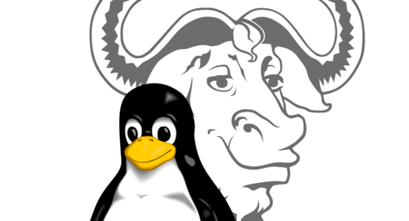 A photo with GNU and Linux's logo