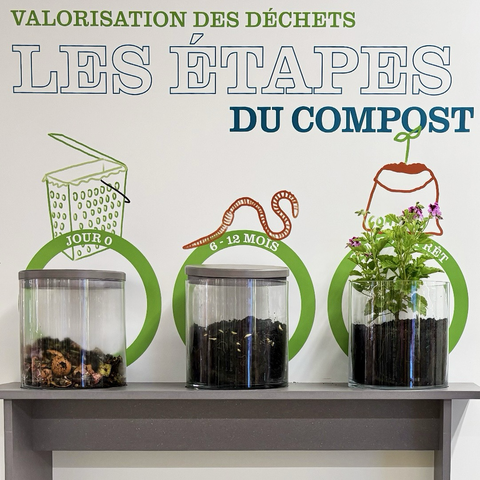 Les étapes du compost expliquées.