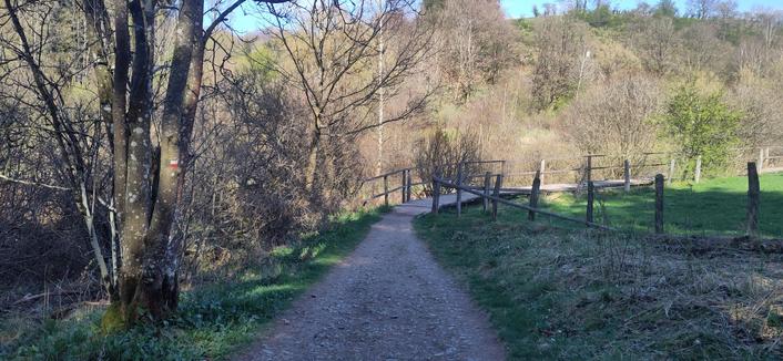 Ein abwärts führender Wanderweg in Mittelgebirgslandschaft geht nach einigen Metern über in einen Weg aus Holzplatten, der nach rechts über einen Sumpf führt. Viele der sichtbaren Bäume tragen zu wenig bis kein Laub und zeigen statt eines satten Grüns eine hell-rötliche Farbe. Etwas blauer Himmel ohne Wolken ist sichtbar.