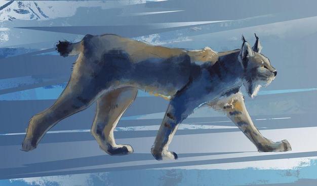 Digital sketch of a bobcat walking on the snow. The background is mostly cool greys and light blues, with light coming from the right. The bobcat itself is mostly grey with a few brownish-golden highlights.