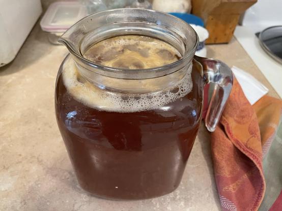 jug of kombucha with pellicle floating on top.