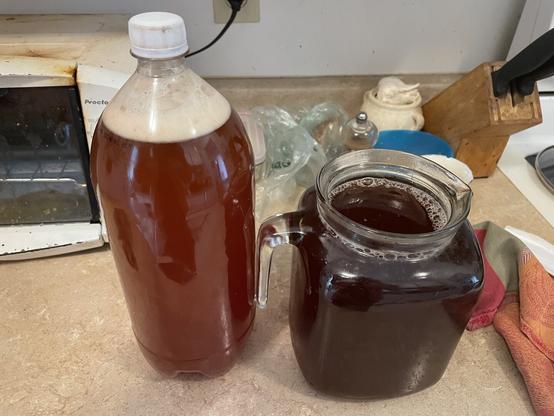 2L bottle of kombucha ready for carbonating and next batch of kombucha in jug.