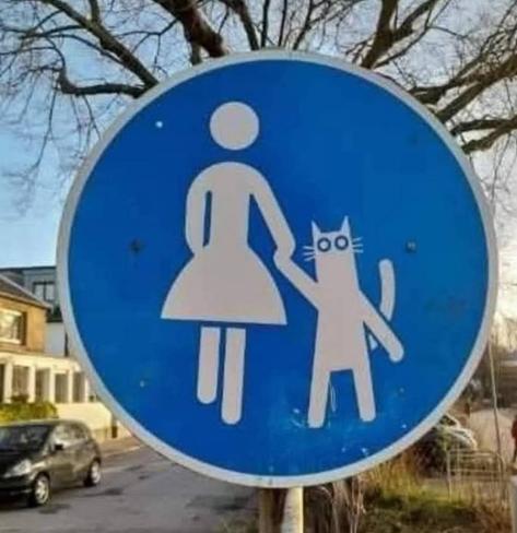 A  blue round "road sign", a silhouette of a woman holding a paw of a cat who's walking upright.