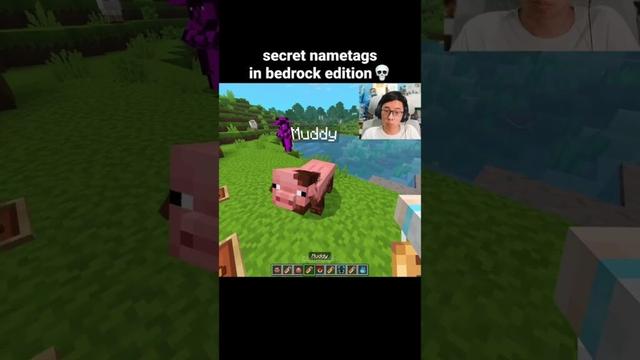Minecraft Secret Nametags Moment