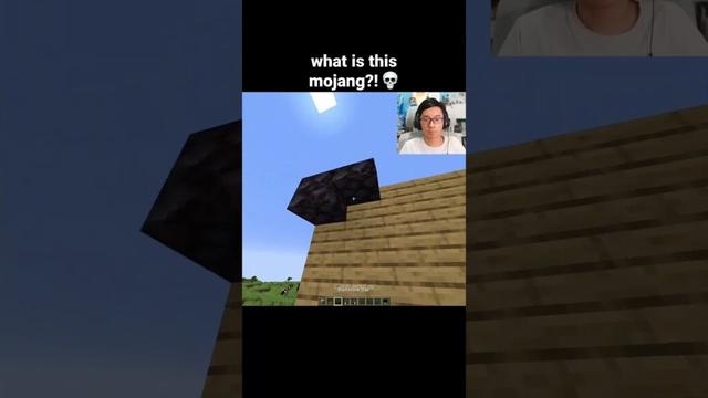 Minecraft Blinking Eyes Moment