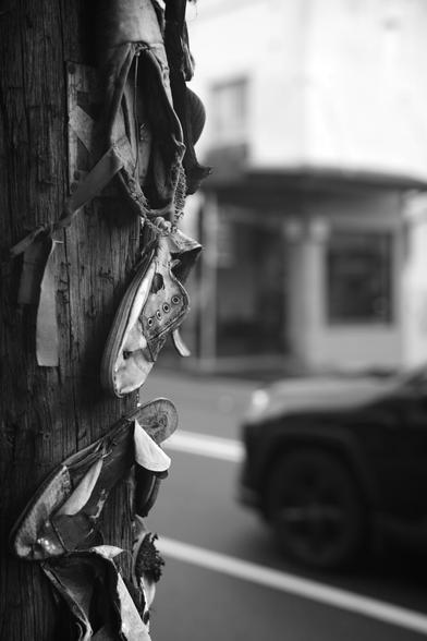 Several old shoes, nailed to a telegraph pole along the side of a road, shot on digital in B&W.