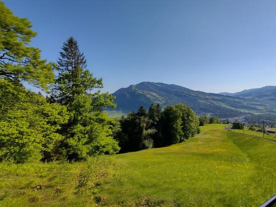 Sicht auf grüne Hügel von der Zahnradbahn aus
