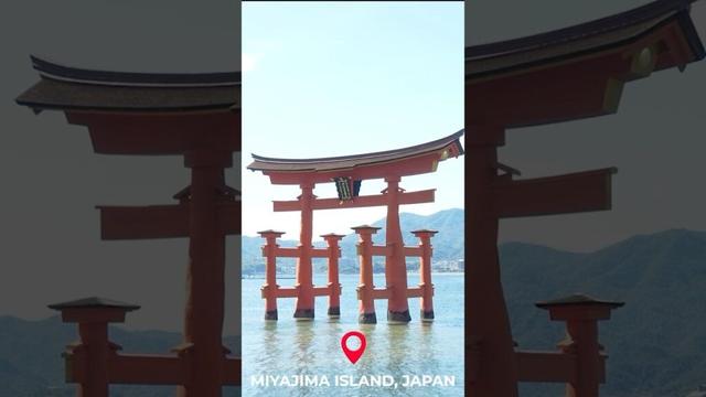 Miyajima Island Tour! 🇯🇵 #japan #japantravel #miyajimaisland #hiroshima #japanese #japanesefood