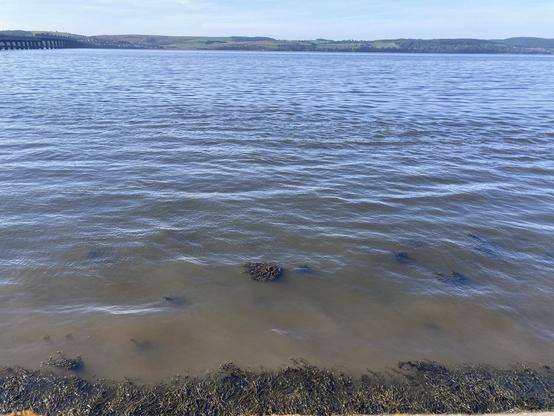 View across the water of Tay Firth there’s lots of movement with the crossing of tide and river flow. The curve of the rail bridge and the hills sit on the horizon bright in the morning sun
