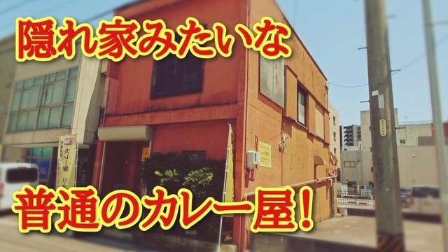知立の歴史的神社と🐸隠れ家のようなカレー屋さん【リオン】✨