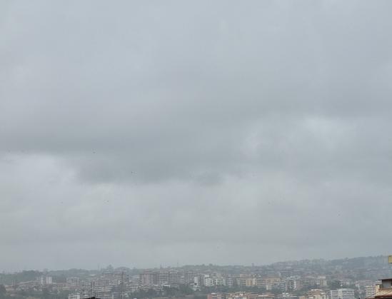 Cielo coperto e grigio, pioggia, rondini svolazzanti