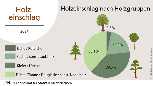 Holzeinschlag, 2024. Das Kreisdiagramm zeigt den Holzeinschlag nach Holzgruppen. Mit 38,5% hatten Kiefern und Lärchen den höchsten Anteil.