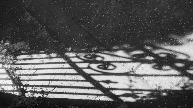 Bright spring sunshine casting a sharp shadow of a wrought iron gate onto the pavement