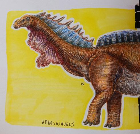 Amargasaurus