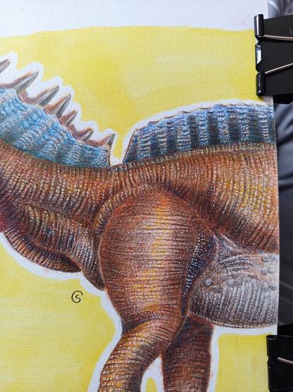 Body of the amargasaurus