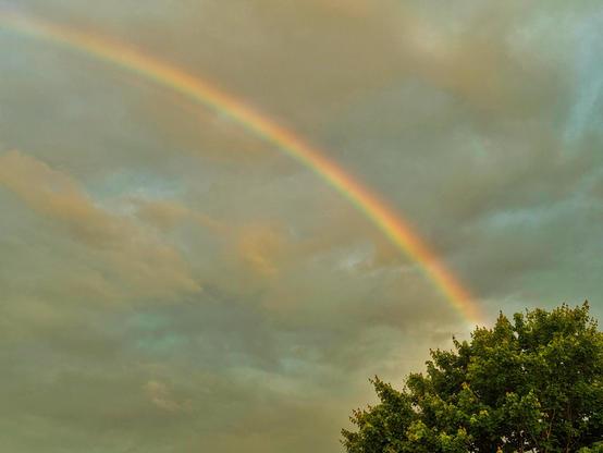 The image features a vibrant rainbow arching across a cloudy sky. The rainbow displays a spectrum of colors, including red, orange, yellow, green, blue, and violet, with the colors transitioning smoothly from one to another. The sky is filled with various shades of gray and blue, with some areas of lighter clouds allowing glimpses of blue sky. In the foreground, a lush green tree with dense foliage is visible, adding a natural element to the scene. The tree's leaves are a rich green, contrasting with the muted tones of the sky. The overall composition highlights the beauty of the rainbow against the backdrop of the sky and the tree.